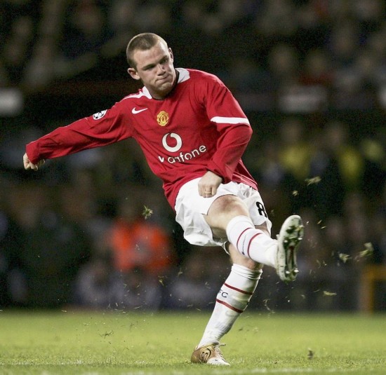 许多球迷雀 许多球迷雀